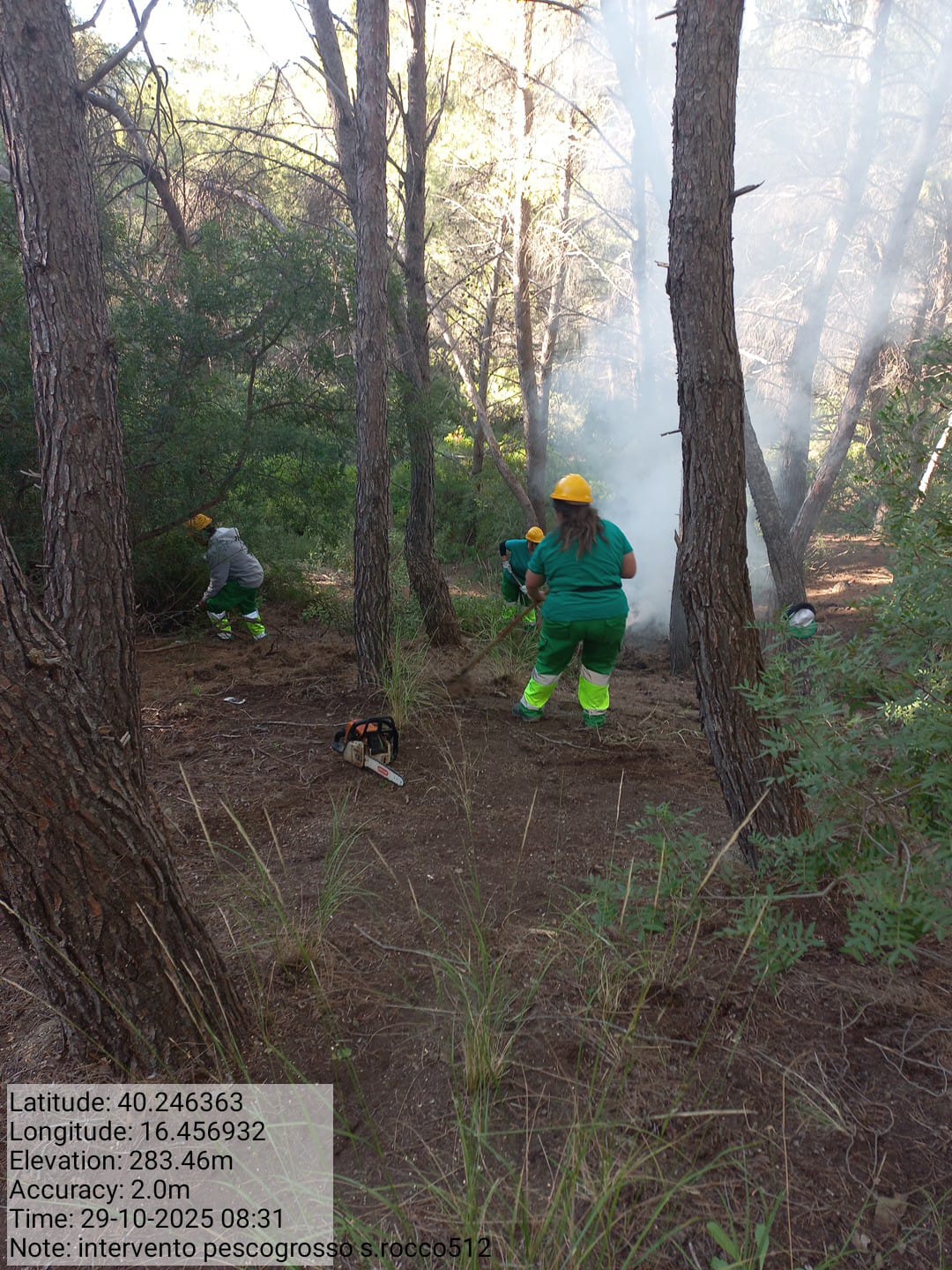 Galleria Fotografica Immagine