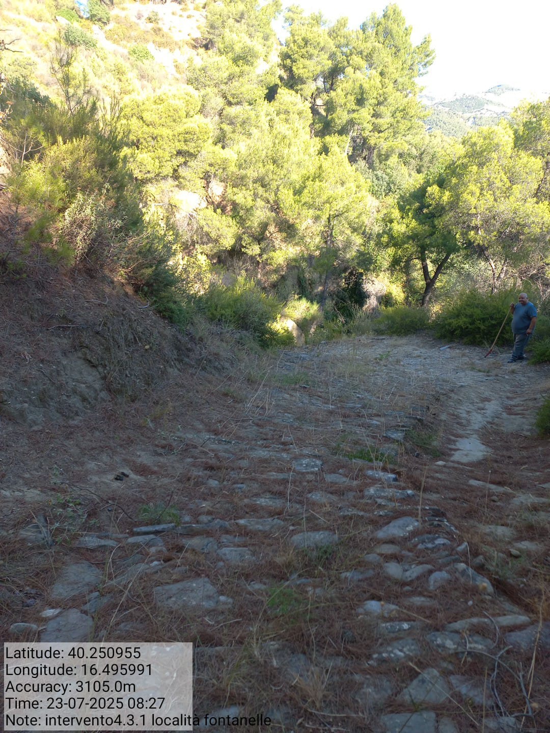 Galleria Fotografica Immagine