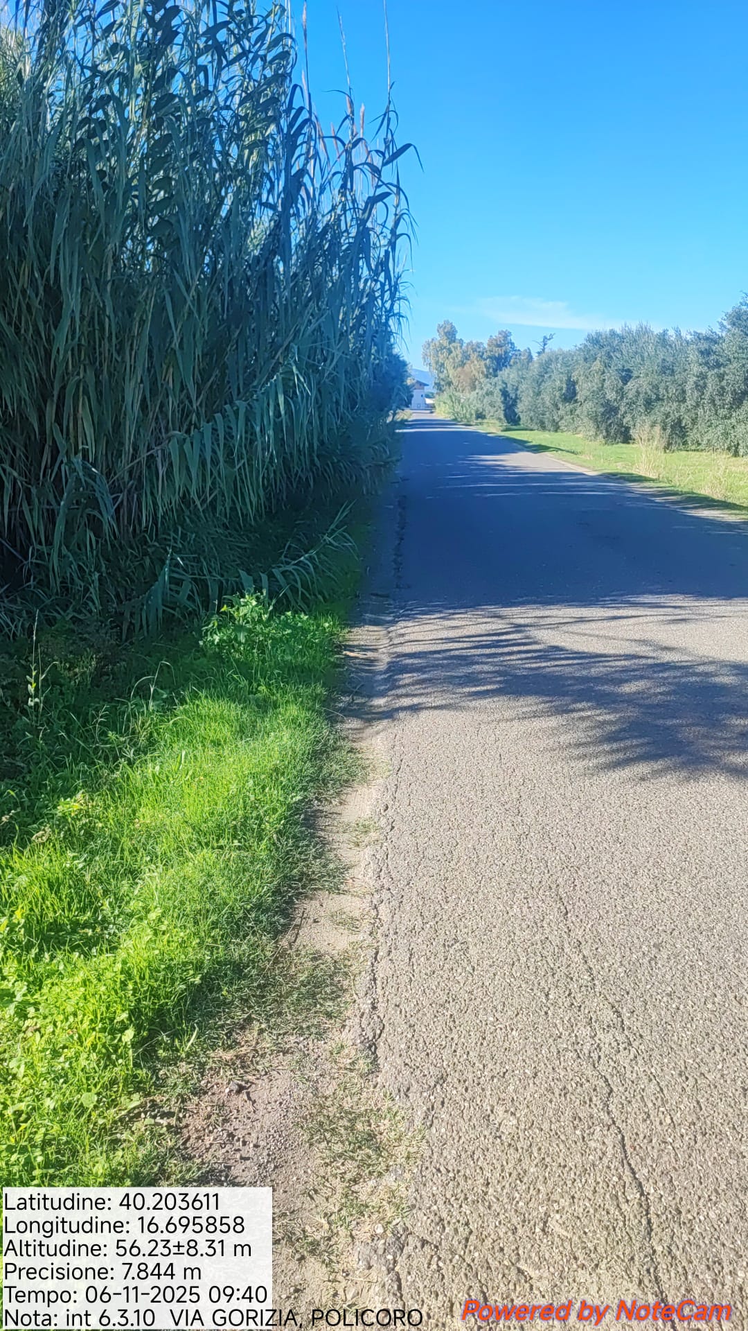 Galleria Fotografica Immagine