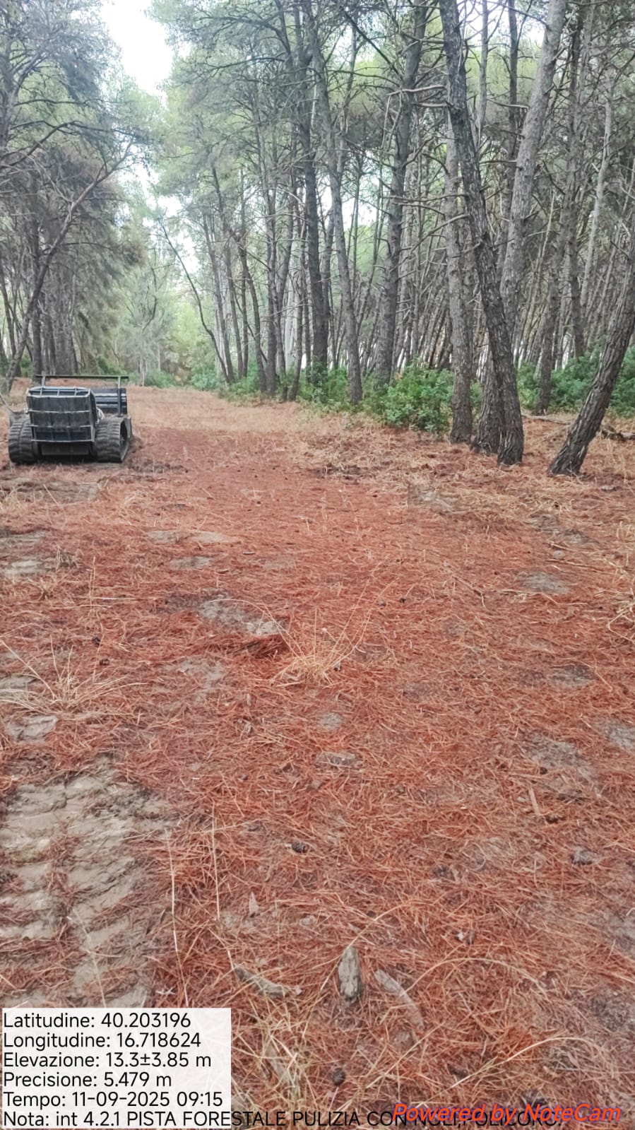 Galleria Fotografica Immagine