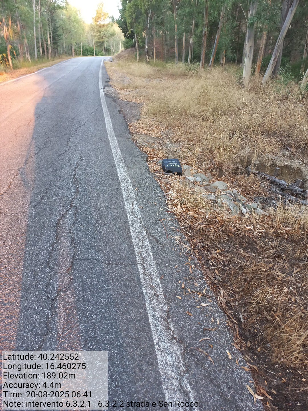 Galleria Fotografica Immagine