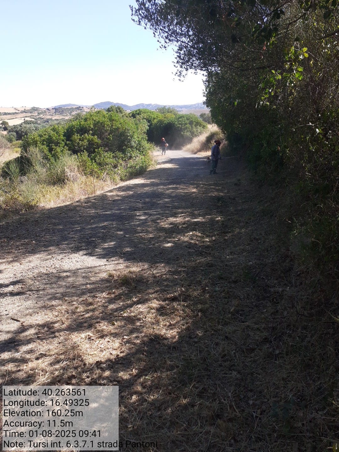 Galleria Fotografica Immagine