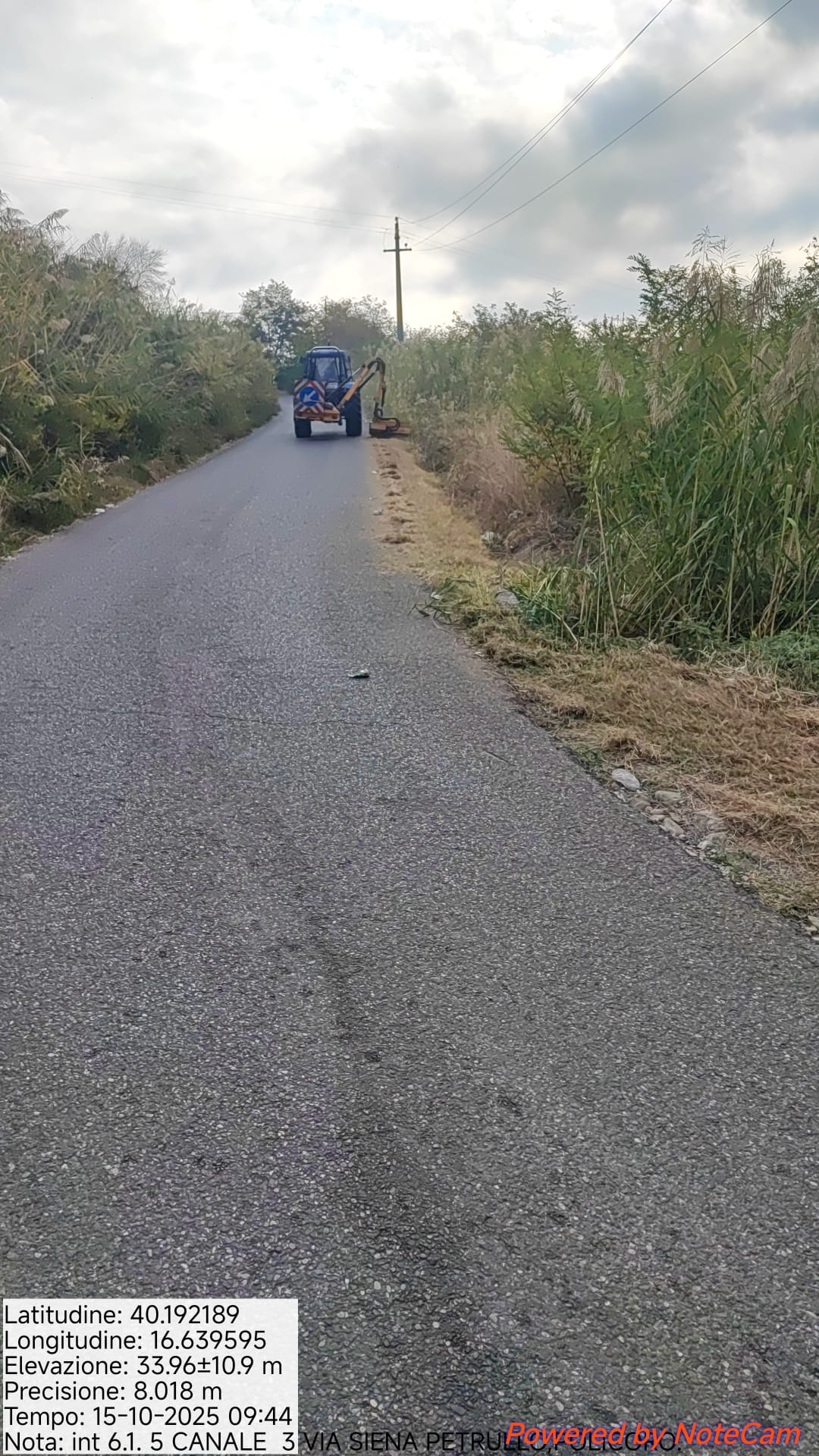 Galleria Fotografica Immagine