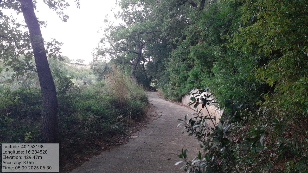 Galleria Fotografica Immagine