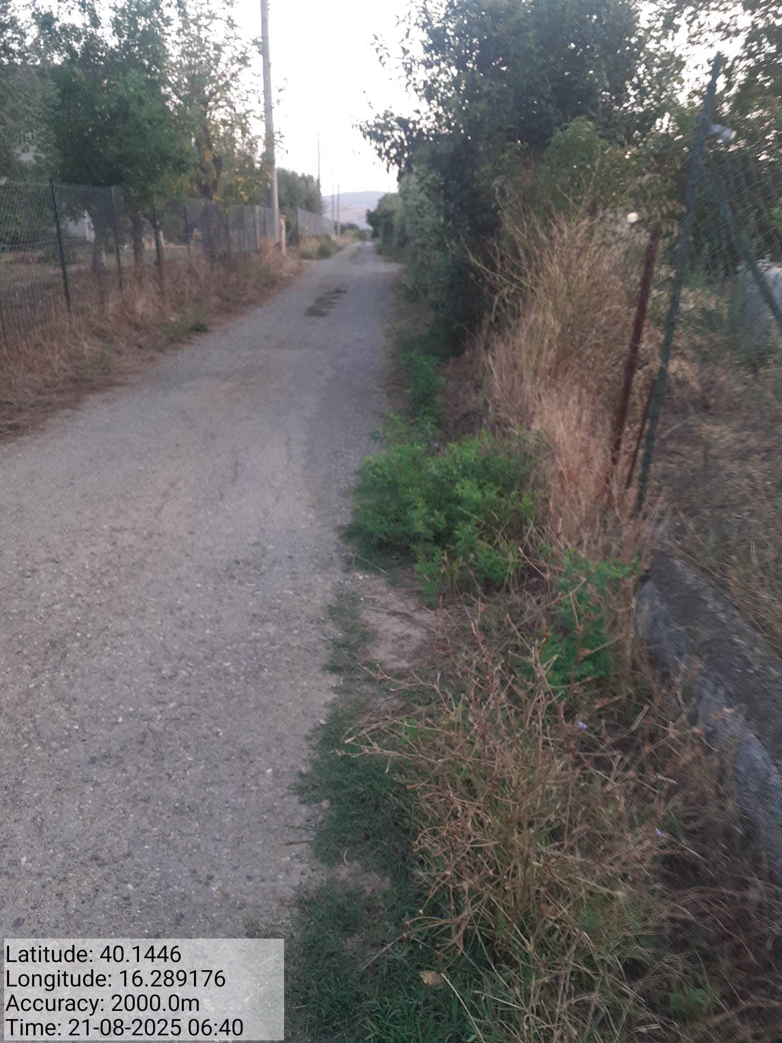 Galleria Fotografica Immagine