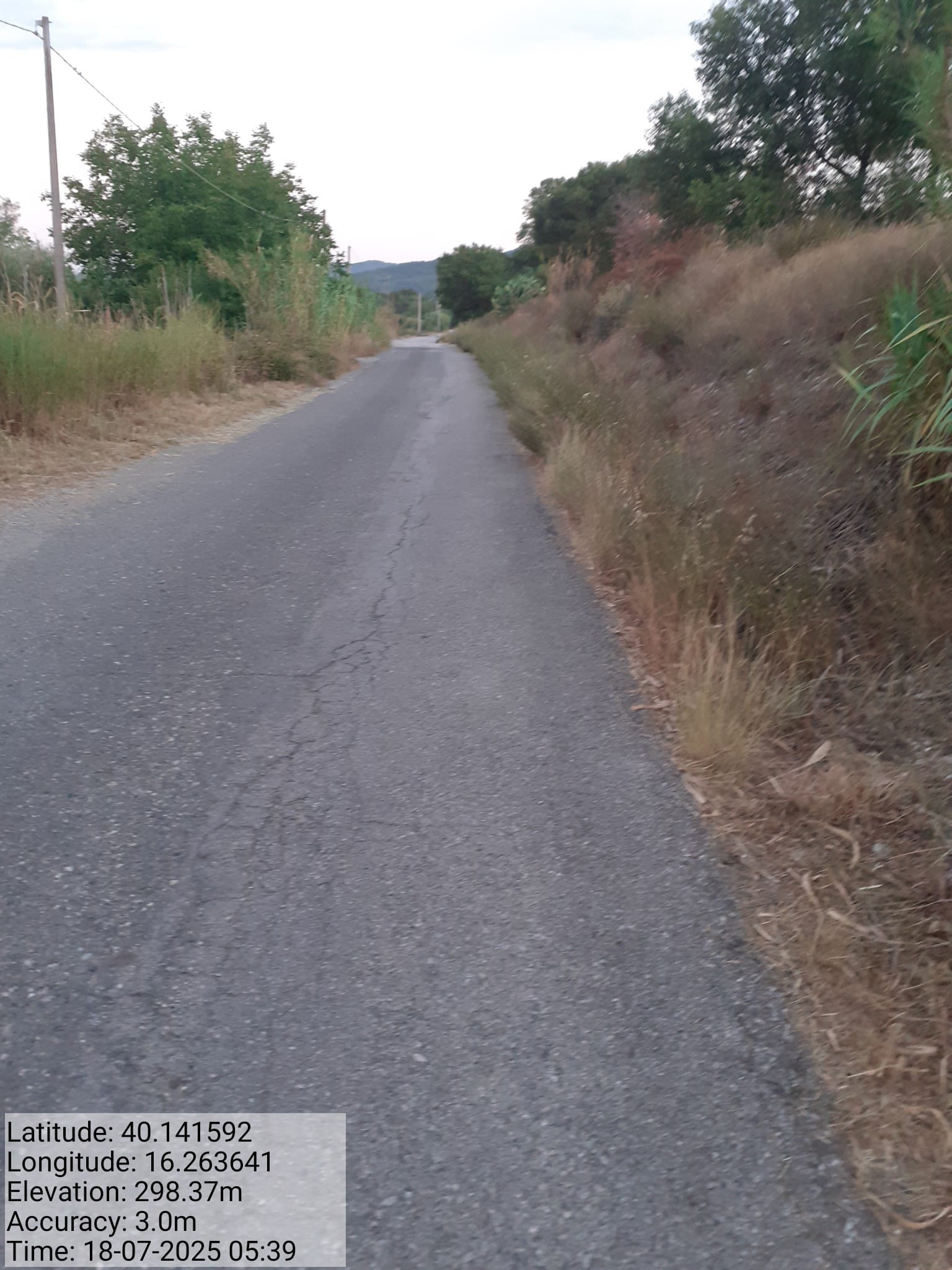 Galleria Fotografica Immagine