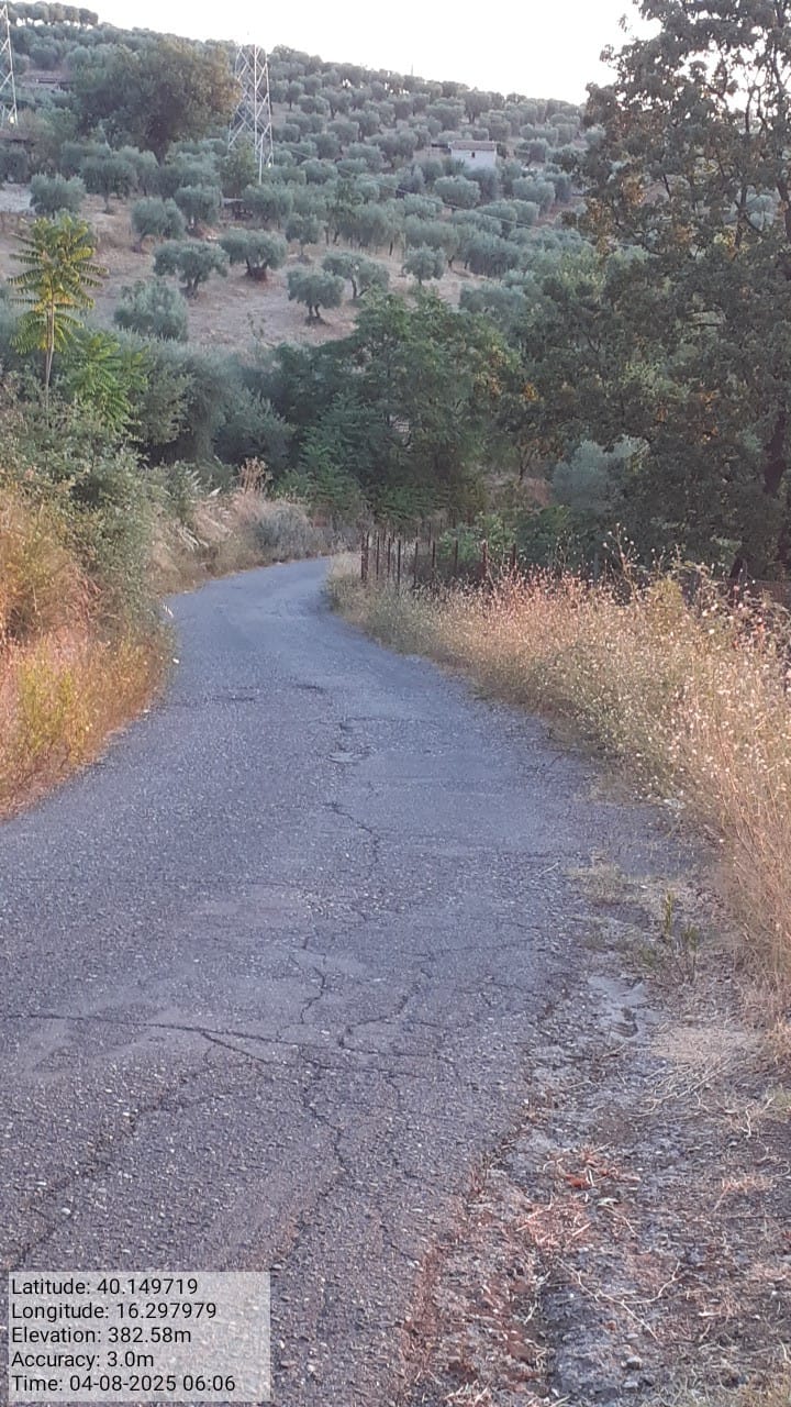 Galleria Fotografica Immagine