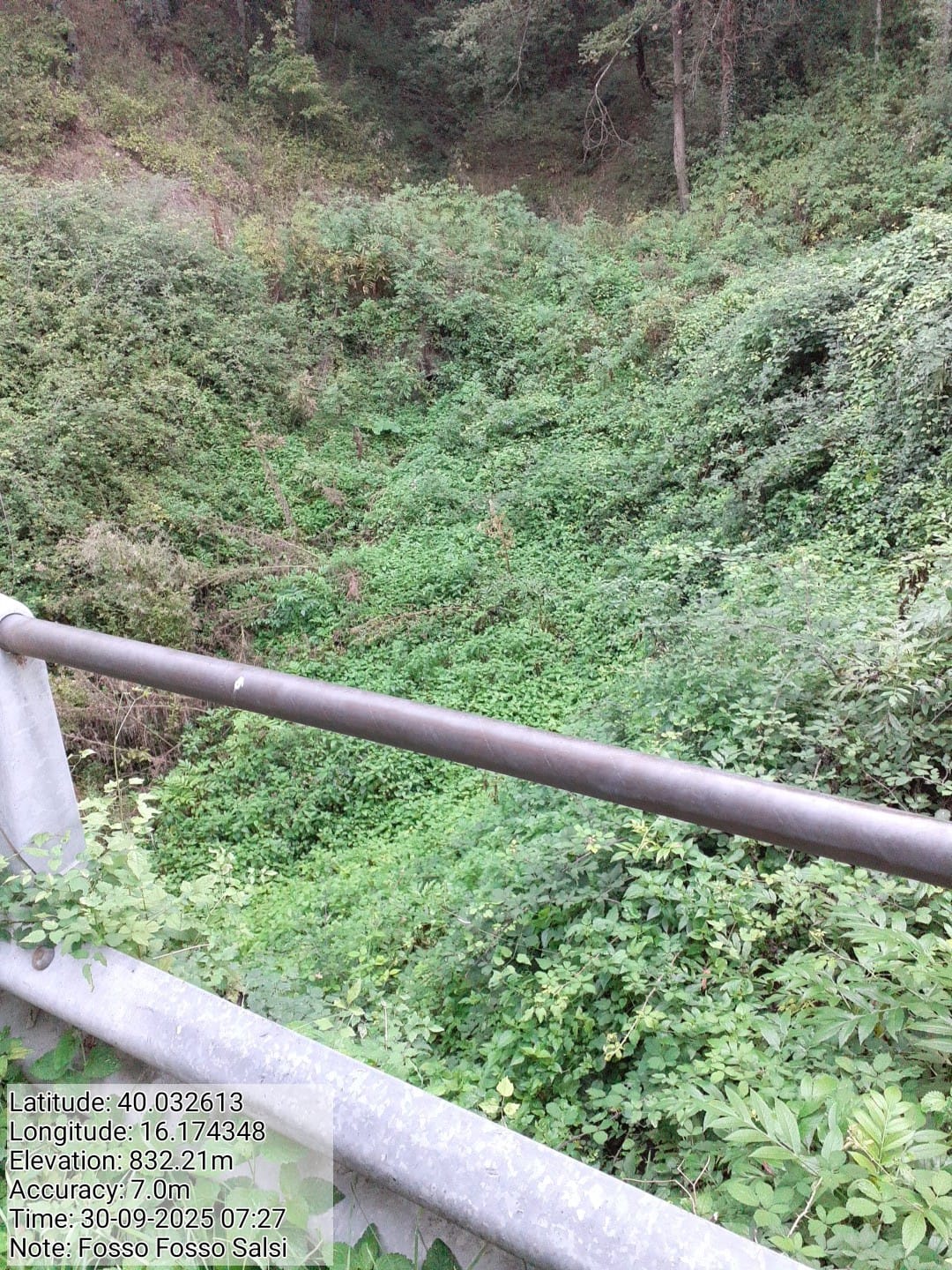 Galleria Fotografica Immagine