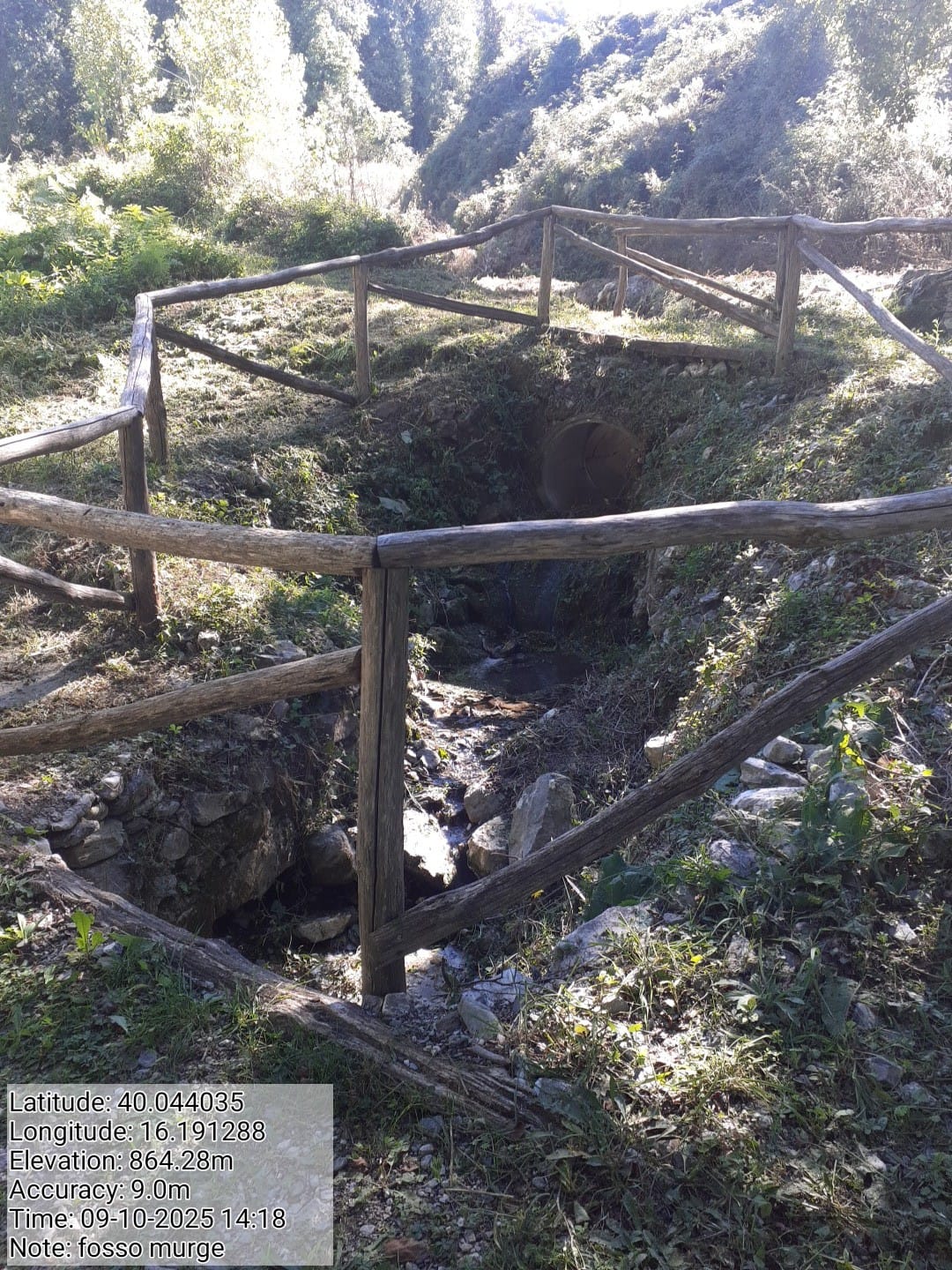 Galleria Fotografica Immagine