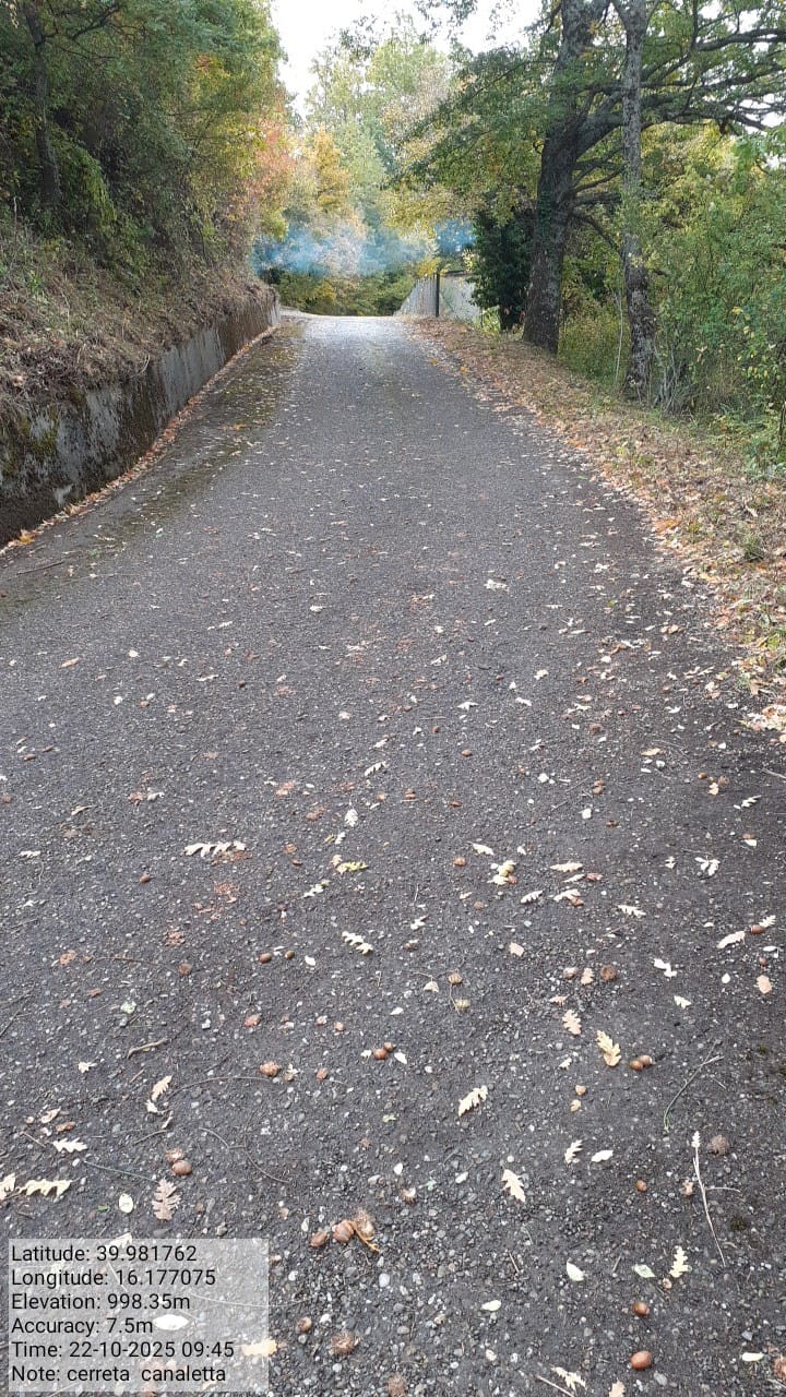 Galleria Fotografica Immagine