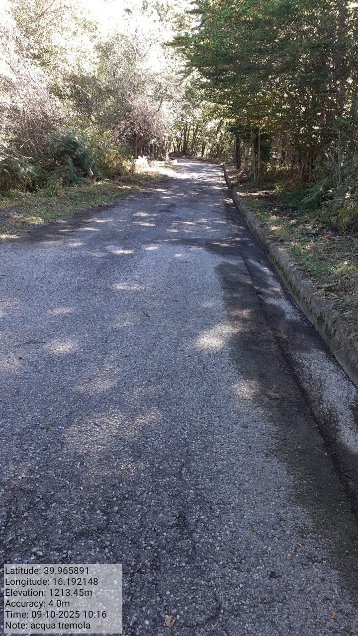 Galleria Fotografica Immagine