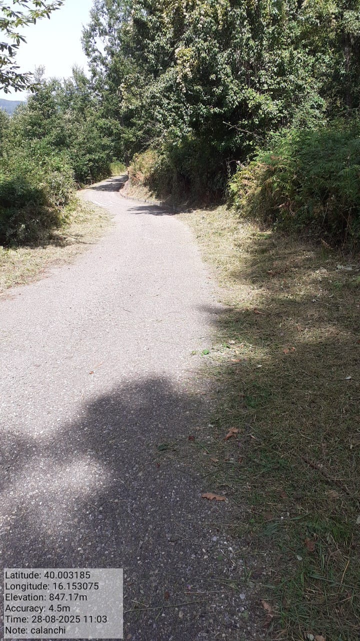 Galleria Fotografica Immagine