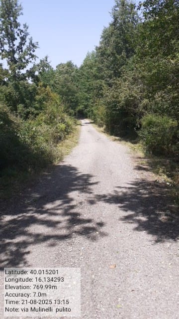 Galleria Fotografica Immagine