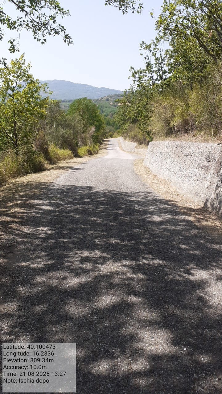 Galleria Fotografica Immagine