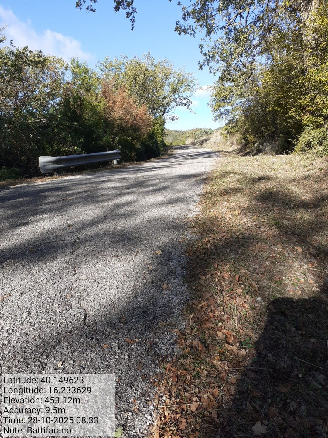 Galleria Fotografica Immagine