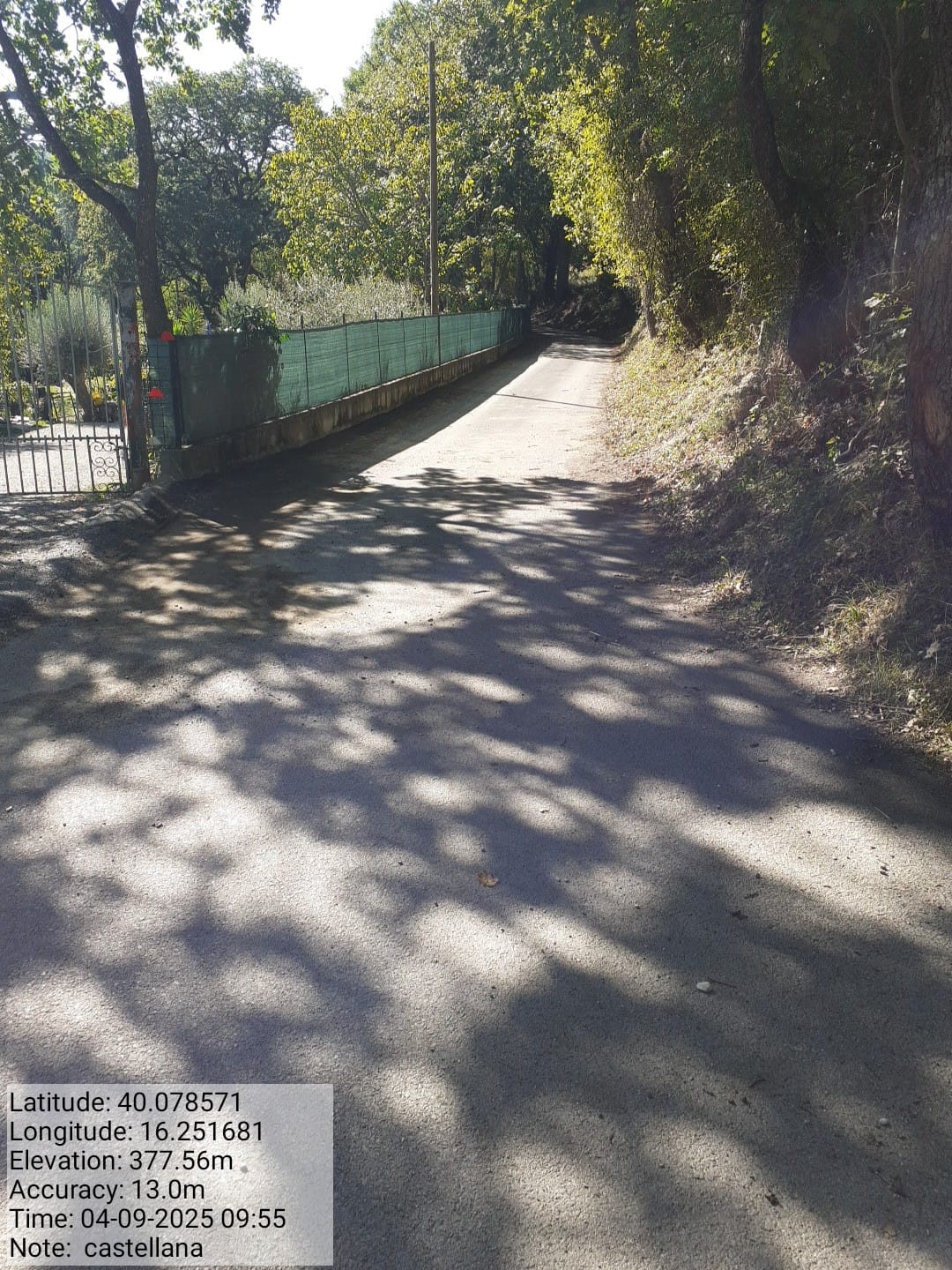 Galleria Fotografica Immagine