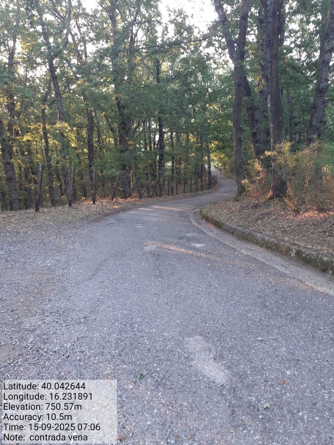 Galleria Fotografica Immagine