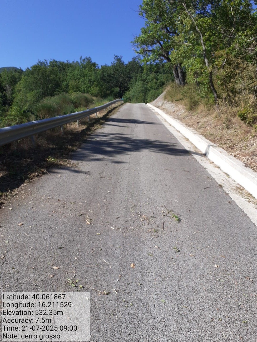 Galleria Fotografica Immagine