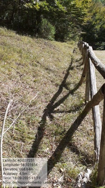 Galleria Fotografica Immagine