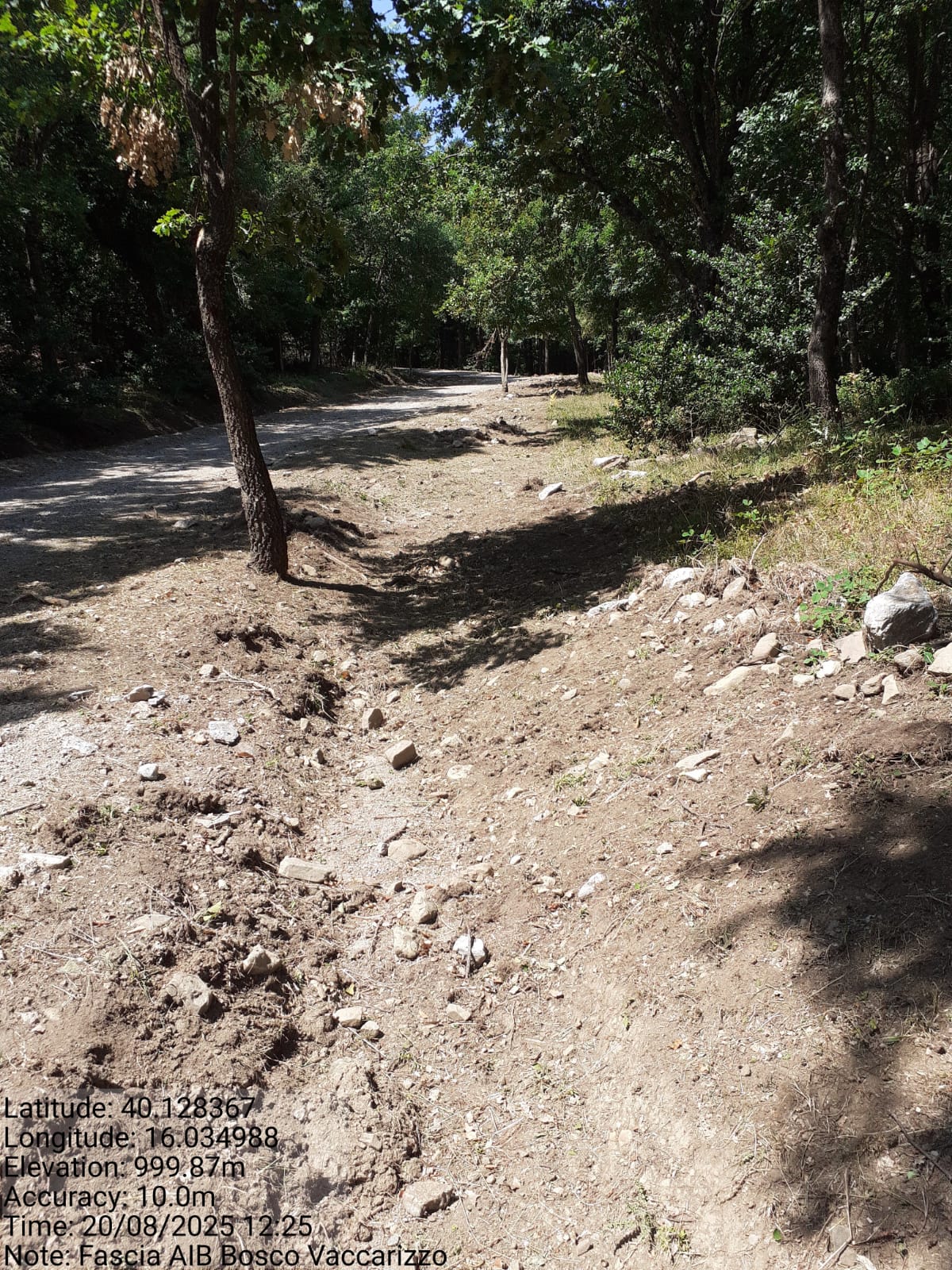 Galleria Fotografica Immagine