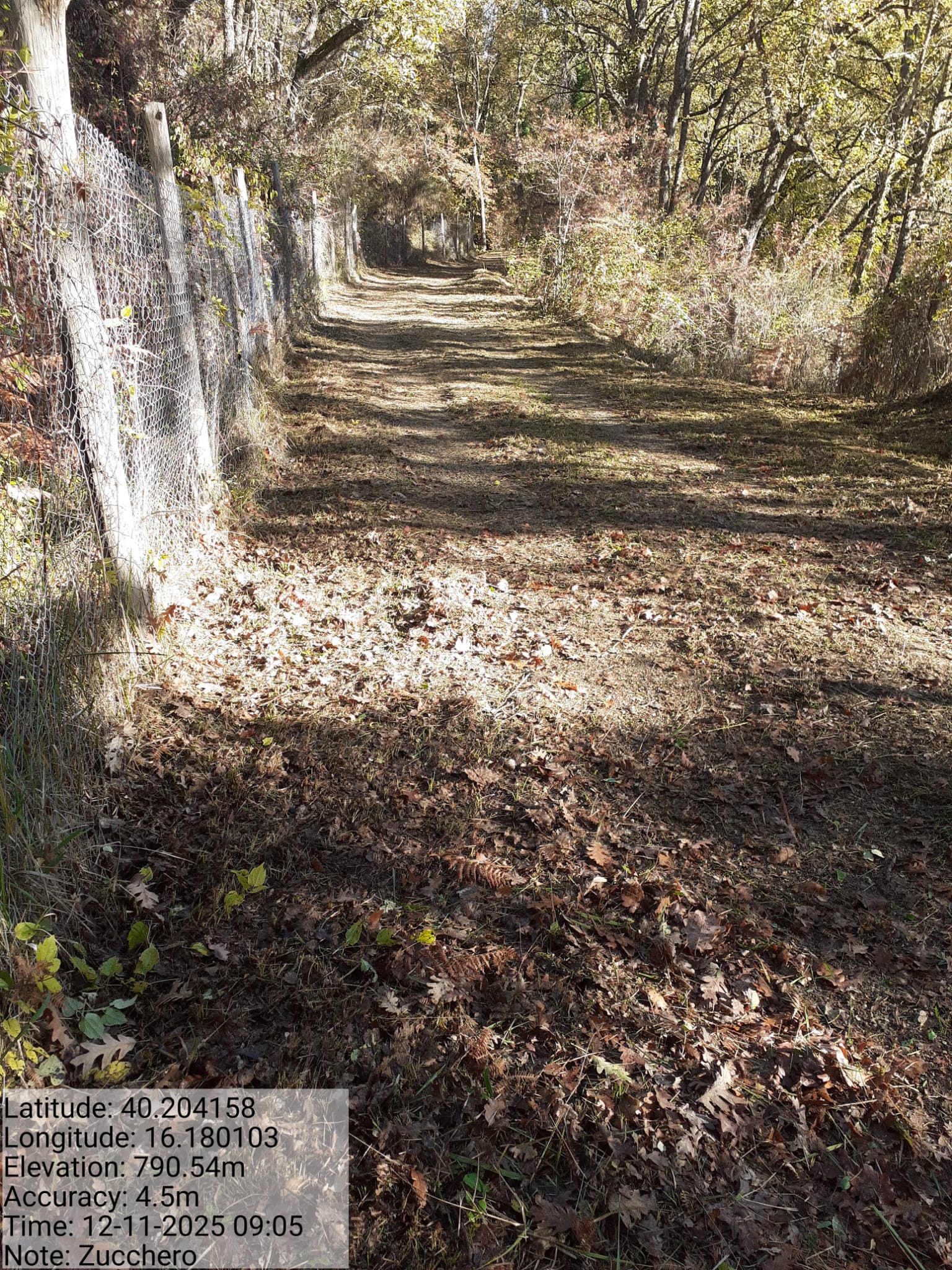 Galleria Fotografica Immagine