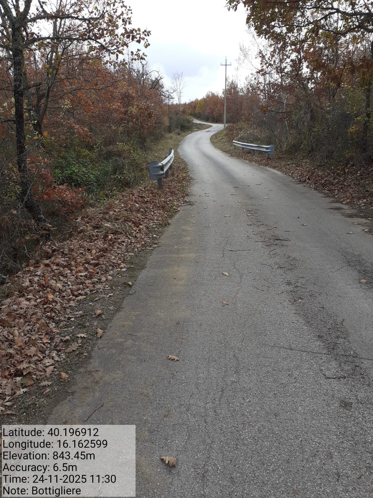 Galleria Fotografica Immagine