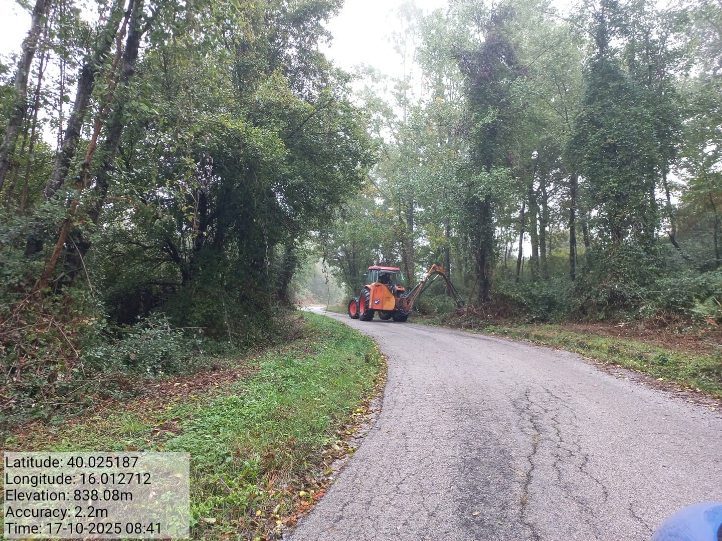 Galleria Fotografica Immagine