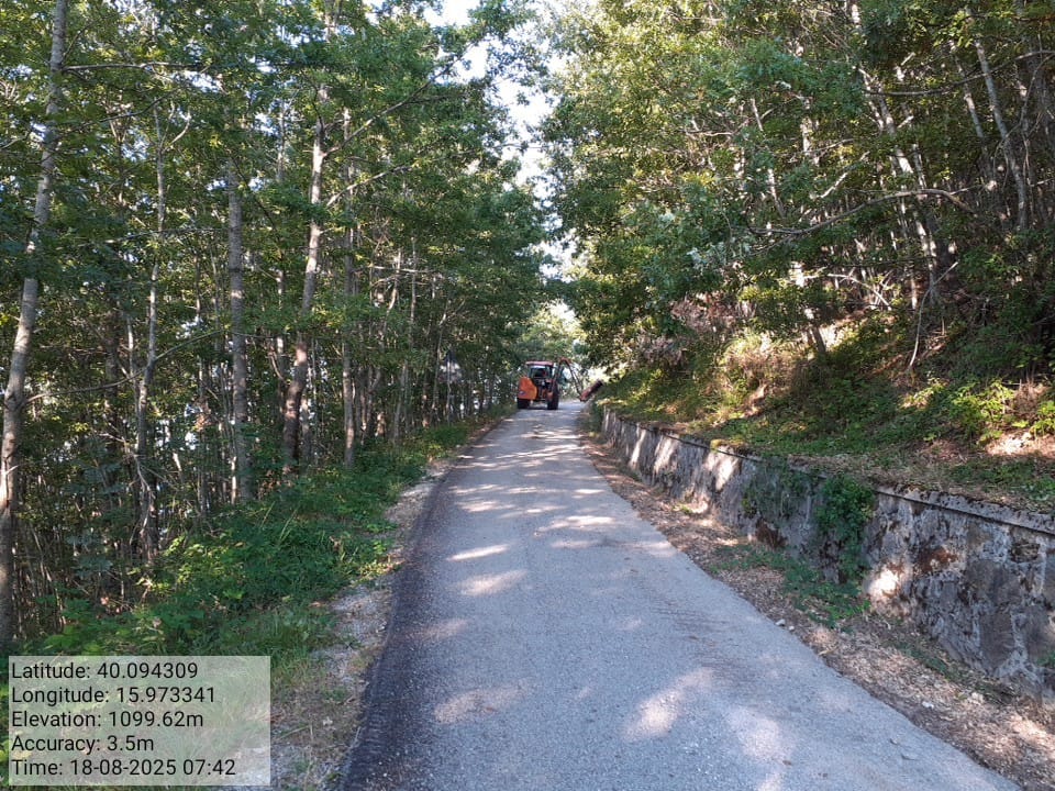 Galleria Fotografica Immagine