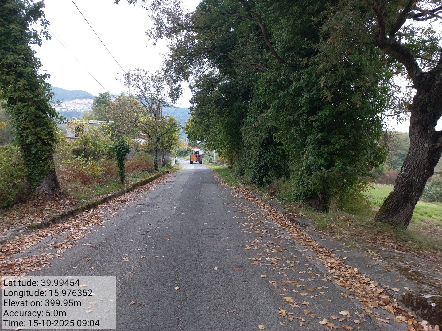 Galleria Fotografica Immagine