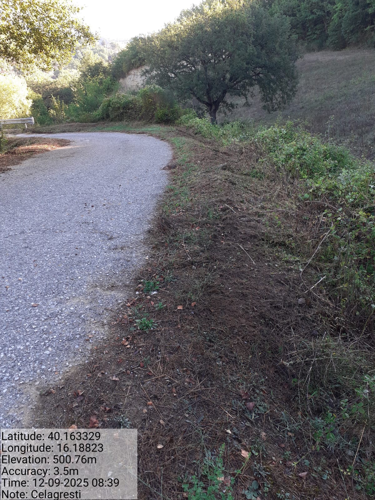 Galleria Fotografica Immagine