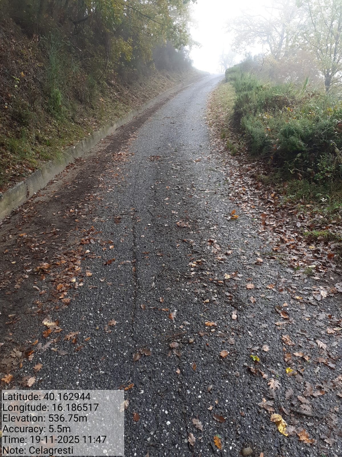 Galleria Fotografica Immagine