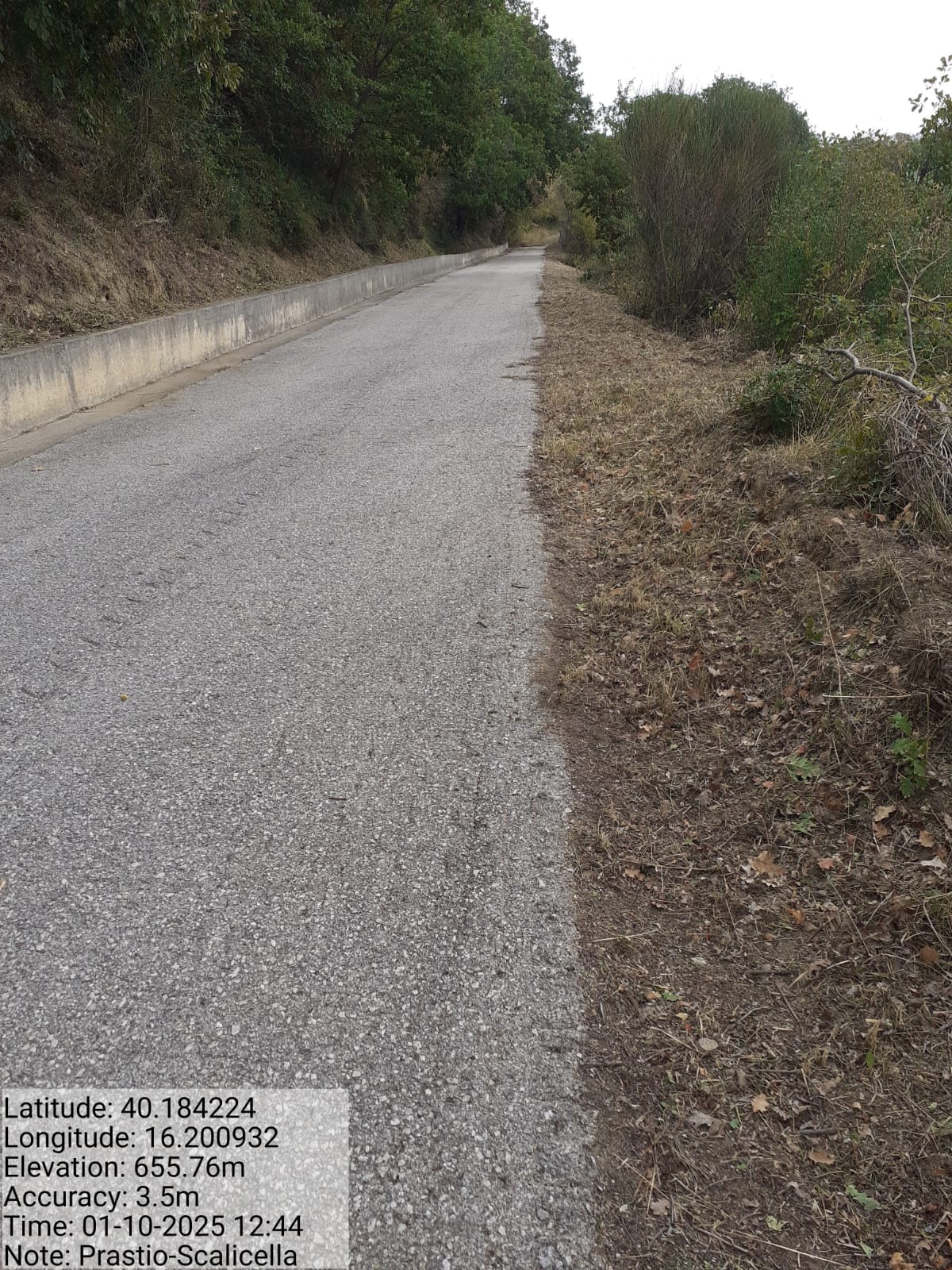 Galleria Fotografica Immagine