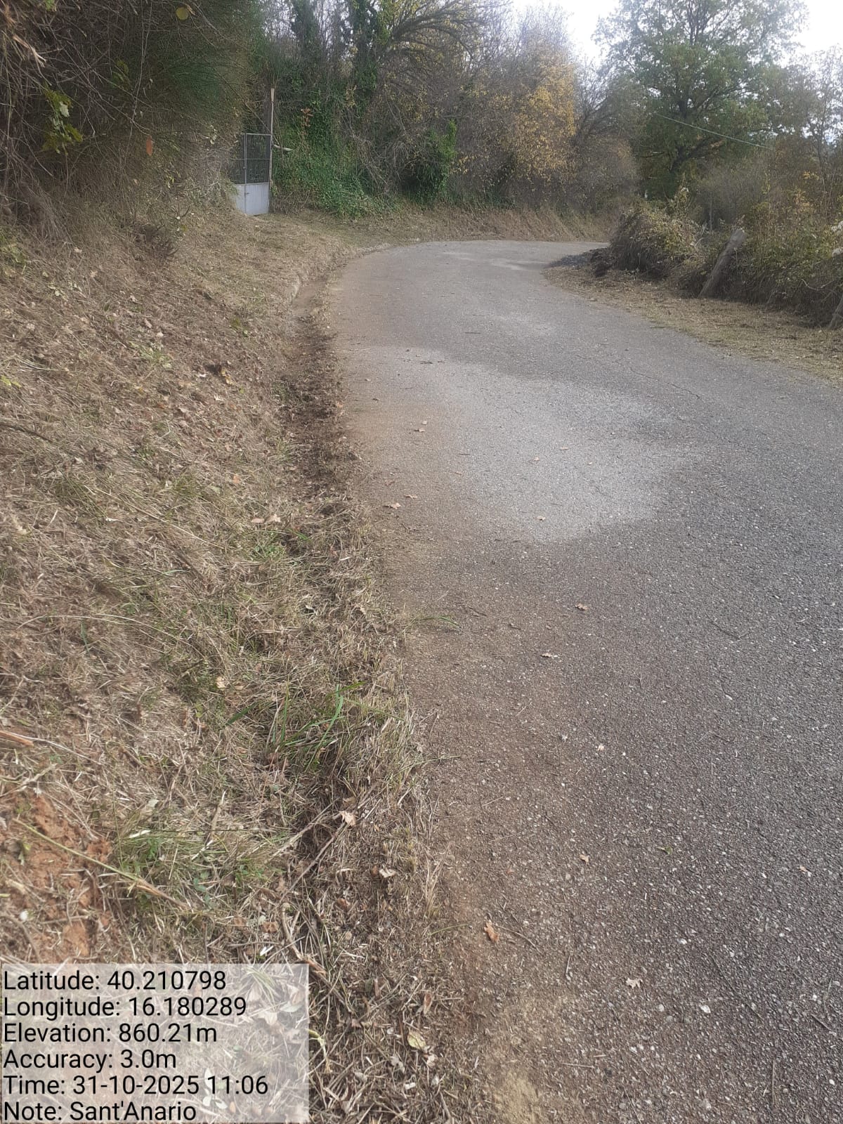 Galleria Fotografica Immagine