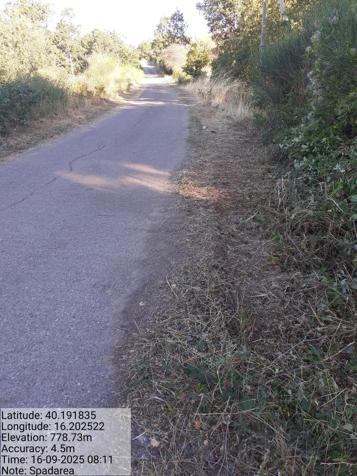 Galleria Fotografica Immagine