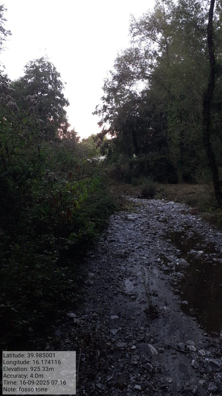 Galleria Fotografica Immagine