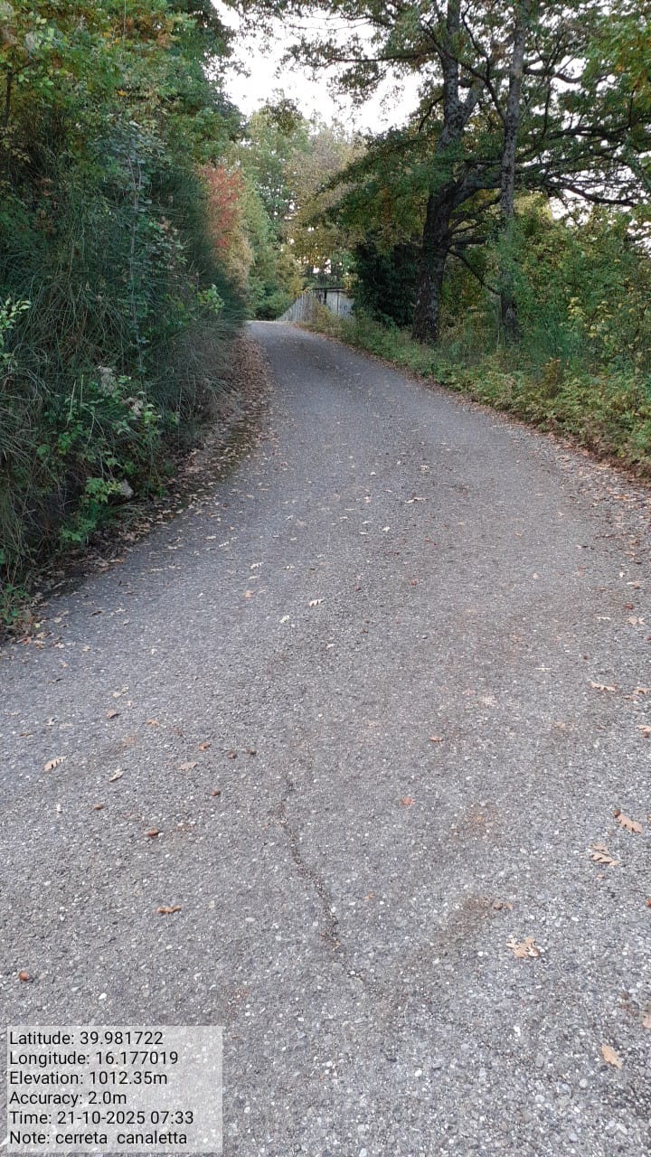 Galleria Fotografica Immagine