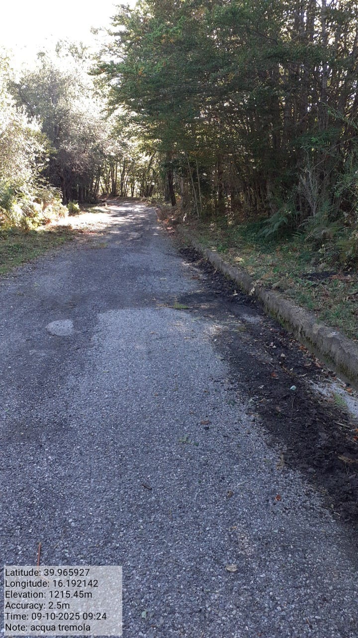 Galleria Fotografica Immagine