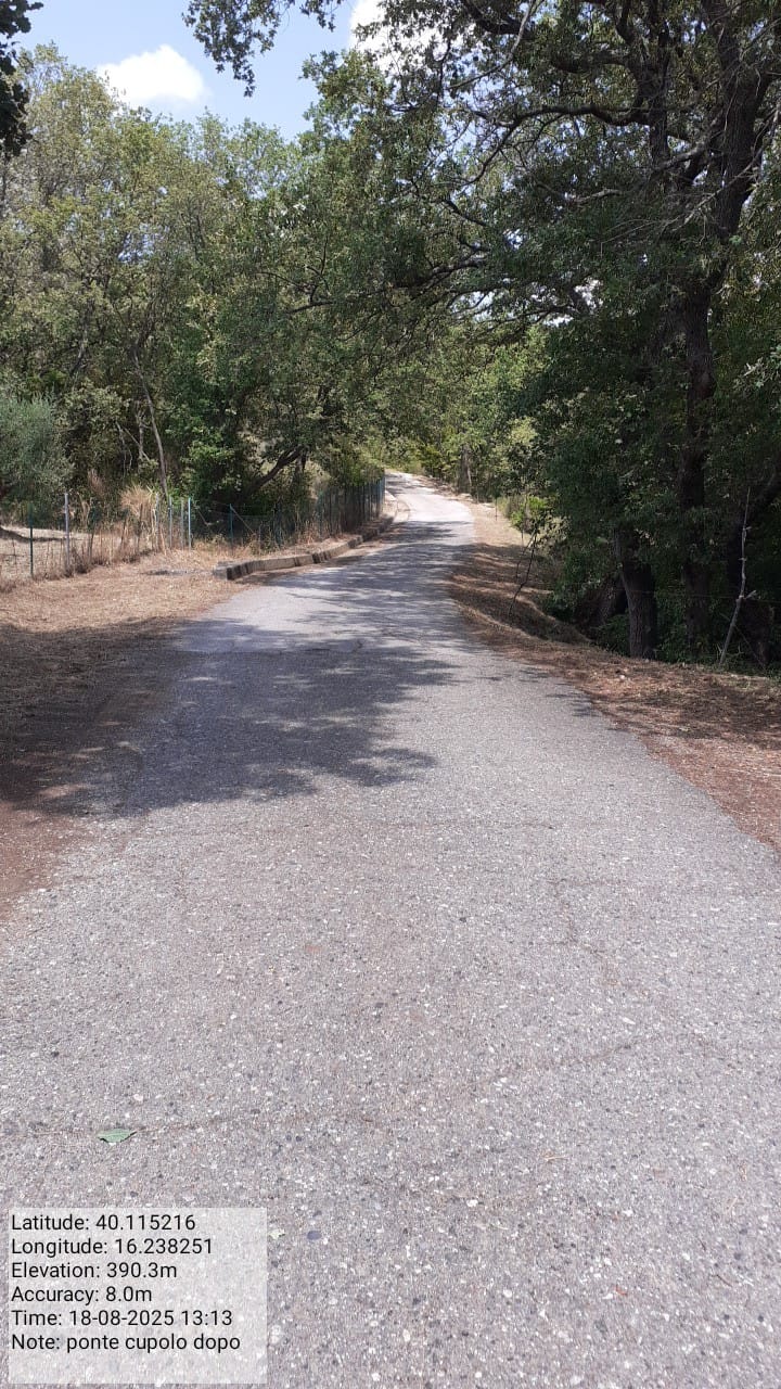 Galleria Fotografica Immagine