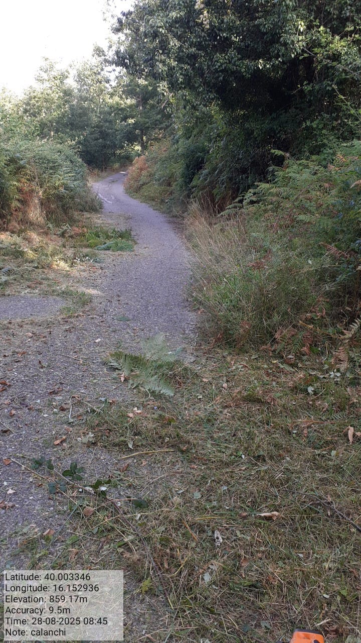 Galleria Fotografica Immagine