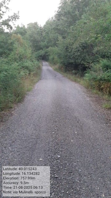 Galleria Fotografica Immagine