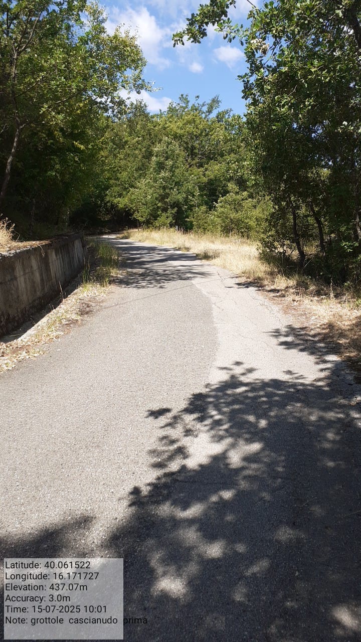 Galleria Fotografica Immagine