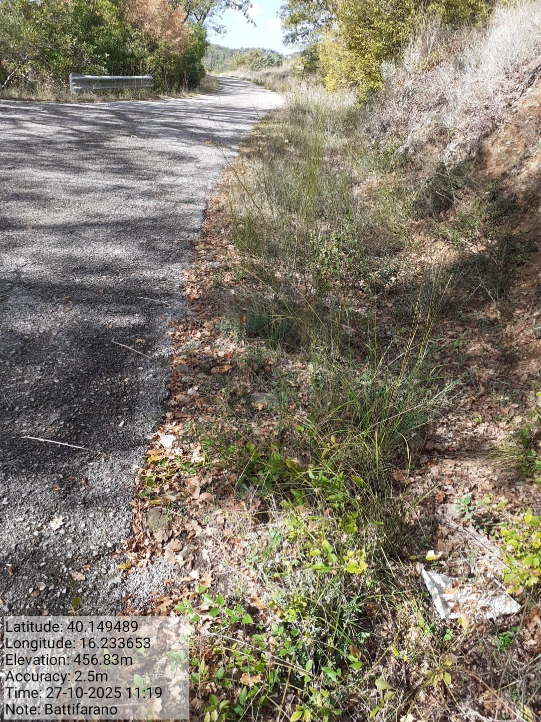 Galleria Fotografica Immagine