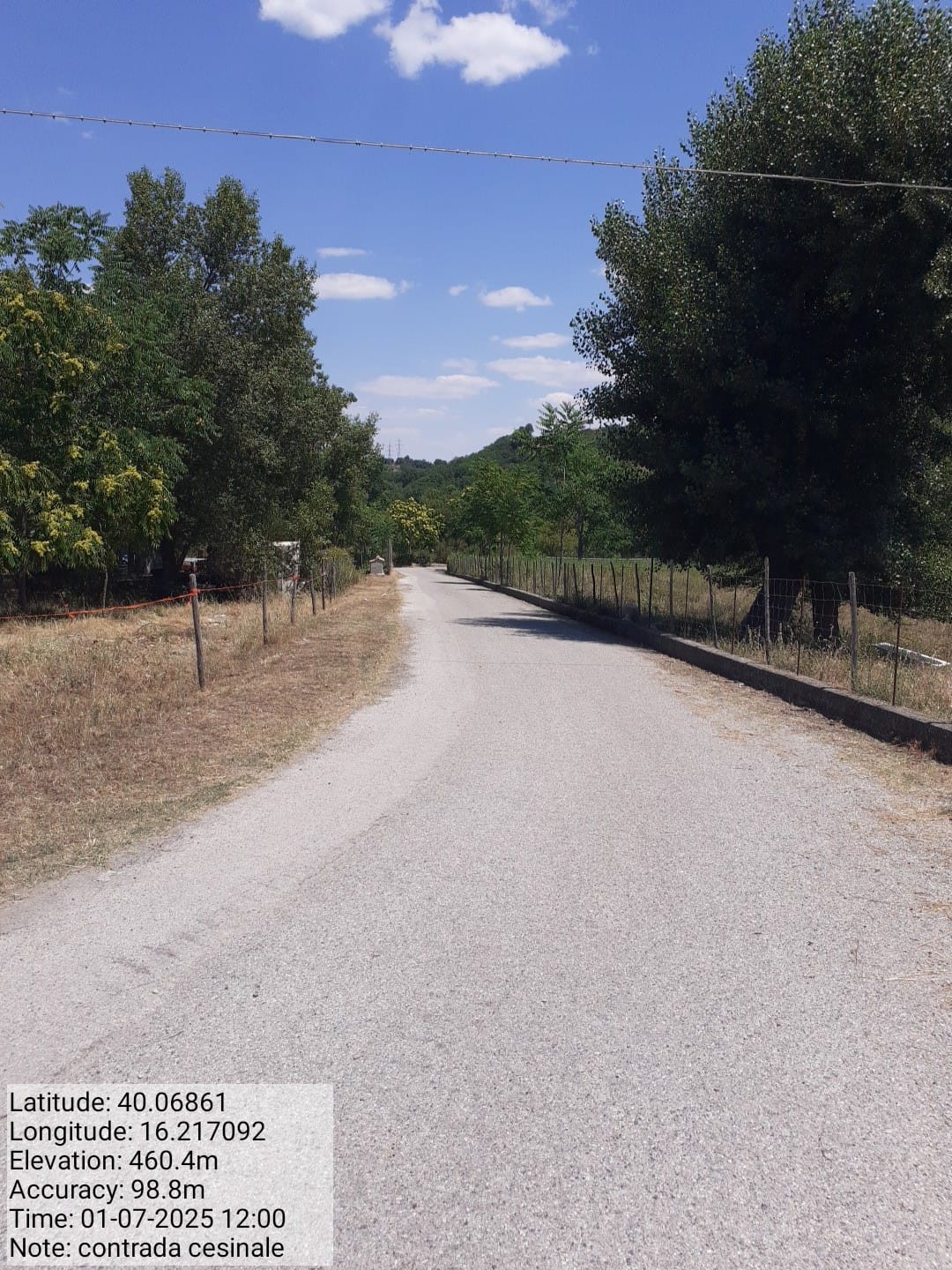 Galleria Fotografica Immagine