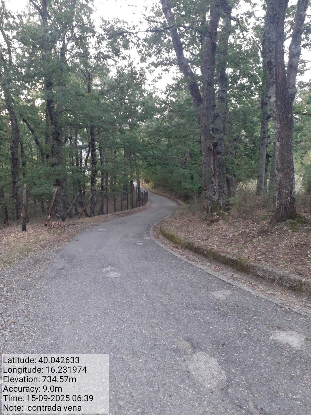 Galleria Fotografica Immagine