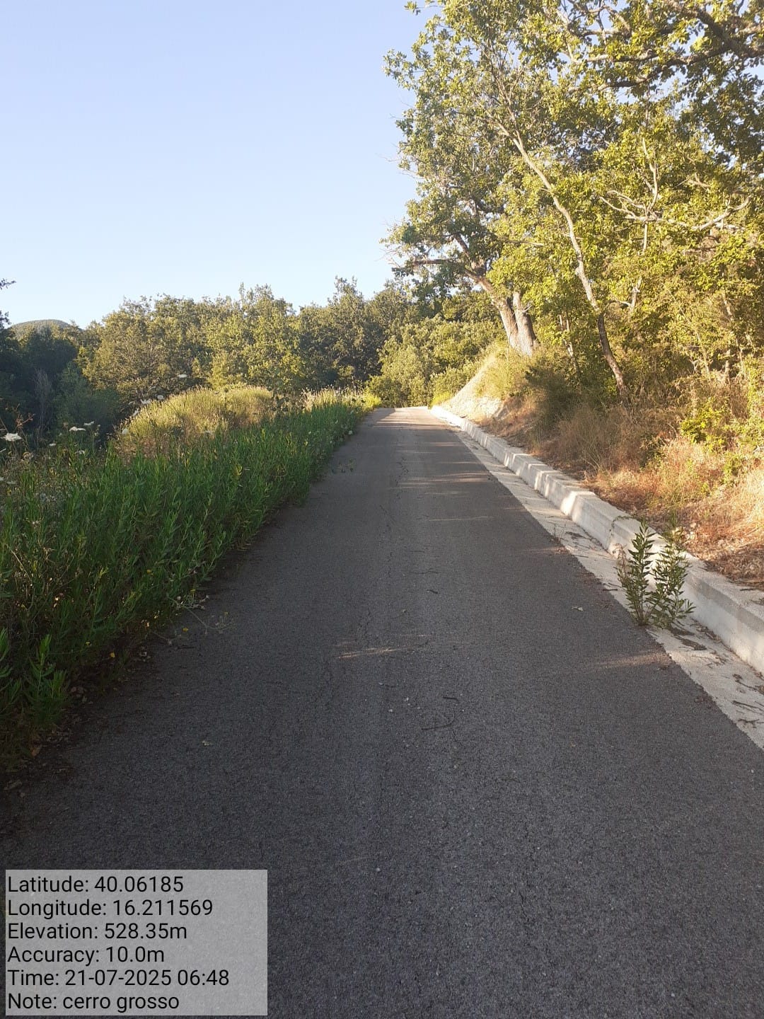 Galleria Fotografica Immagine