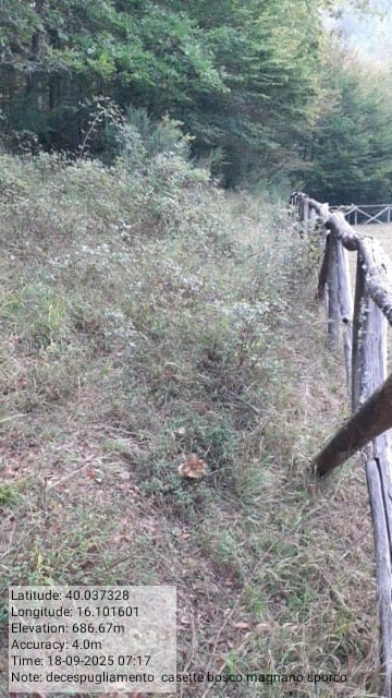 Galleria Fotografica Immagine