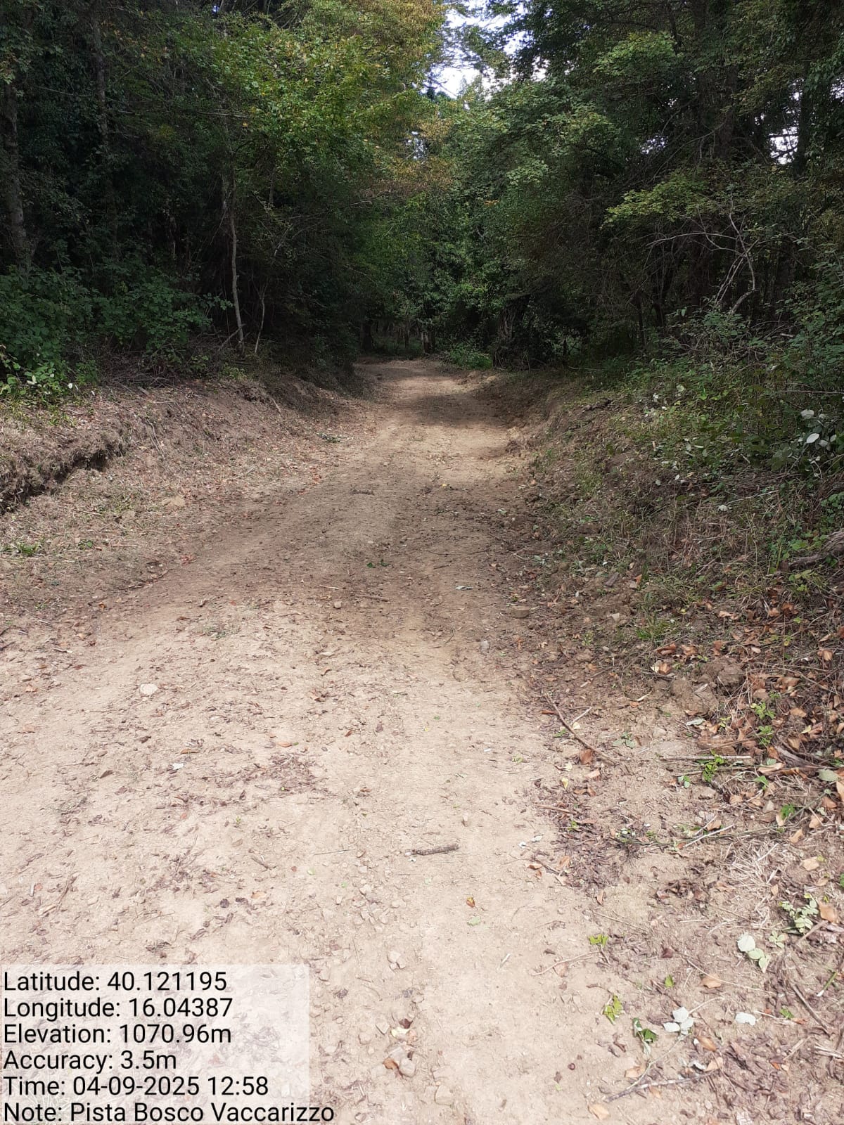 Galleria Fotografica Immagine