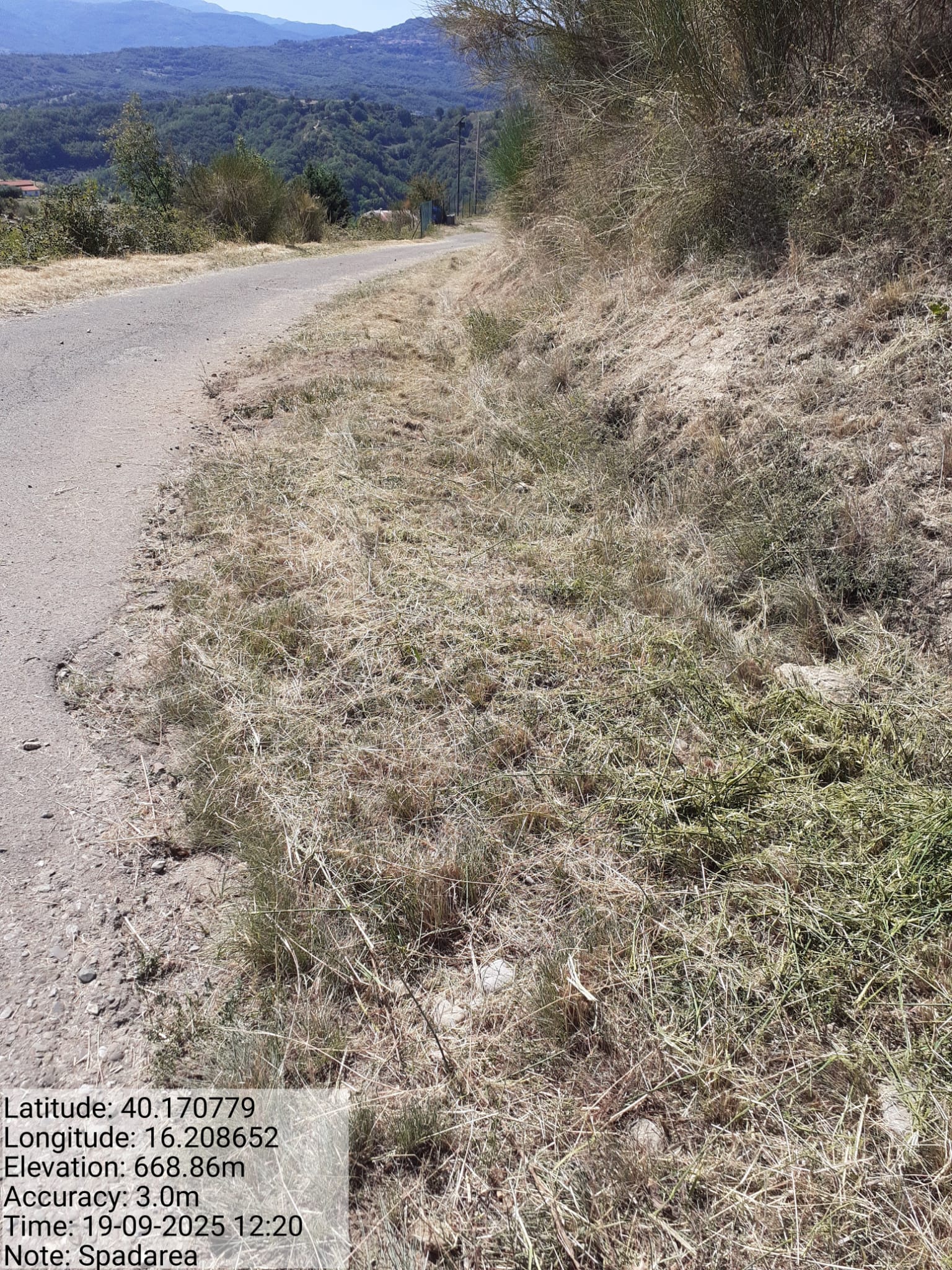 Galleria Fotografica Immagine