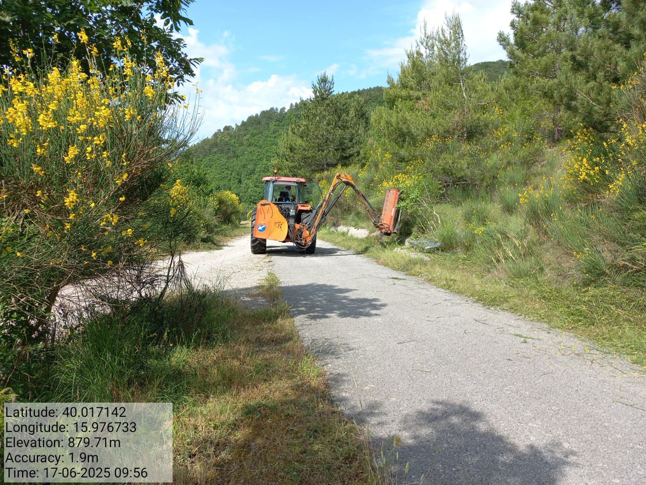 Galleria Fotografica Immagine