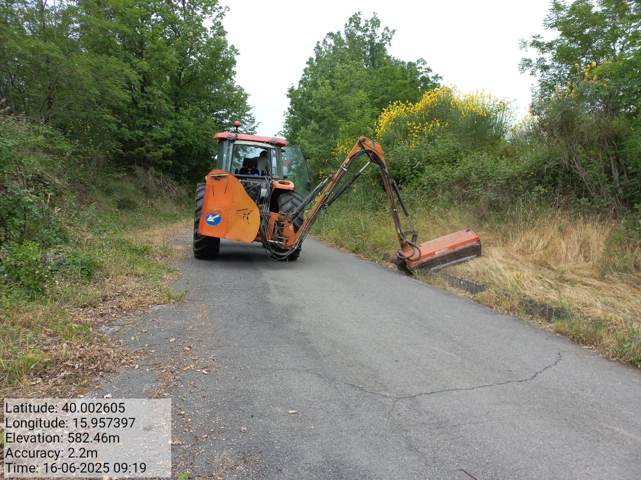 Galleria Fotografica Immagine